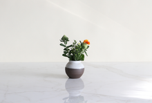 Load image into Gallery viewer, ar-img